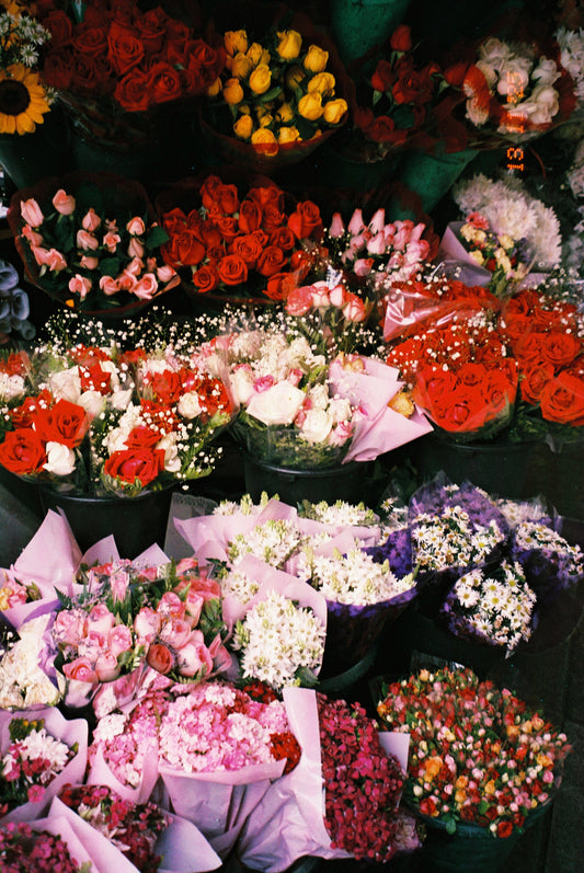 Lucky Color C200 35mm - 36 exposições
