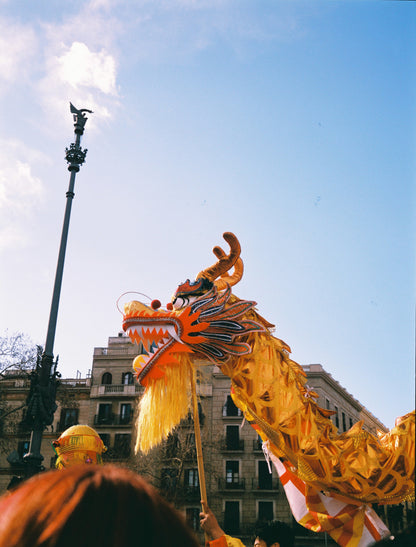 Lucky Color C200 35mm - 36 exposições